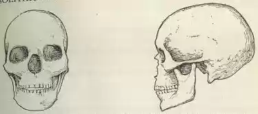 chapter-II-plate4a